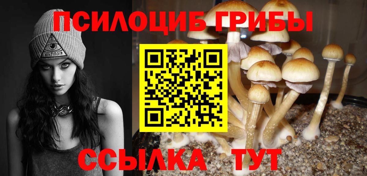 Псилоцибиновые грибы прущие грибы  Галлюциногенные грибы MAGIC MUSHROOMS  Нефтекумск  Вход с VPN 