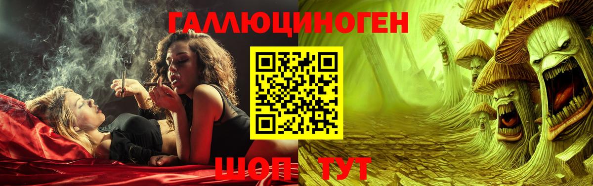 Галлюциногенные грибы GOLDEN TEACHER Нефтекумск
