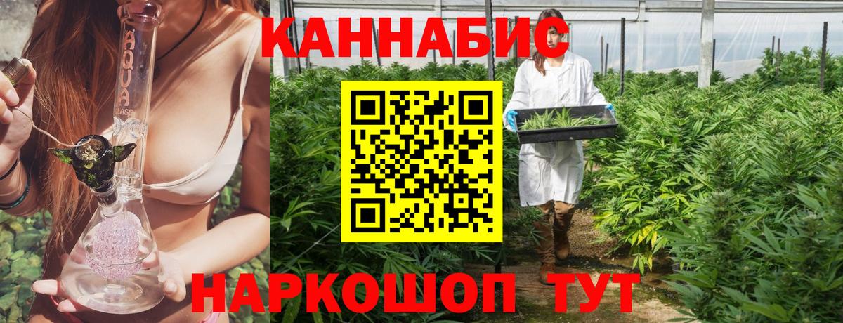 Бошки марихуана планчик  Вход с VPN  Конопля марихуана  Нефтекумск 